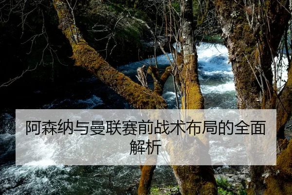 阿森纳与曼联赛前战术布局的全面解析